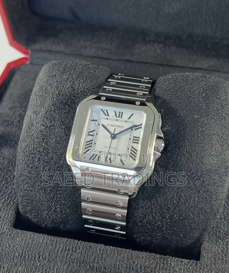 Normal Cartier Watch