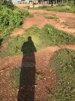 Commercial Plots of Land Is on Sales