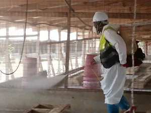 Penthouses For Chicken And Animals Farms Disinfection Works
