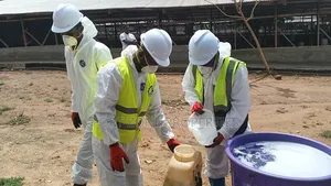 World Wide Disinfecting Services for Animals Farming
