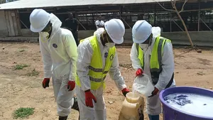 World Wide Disinfecting Services for Animals Farming