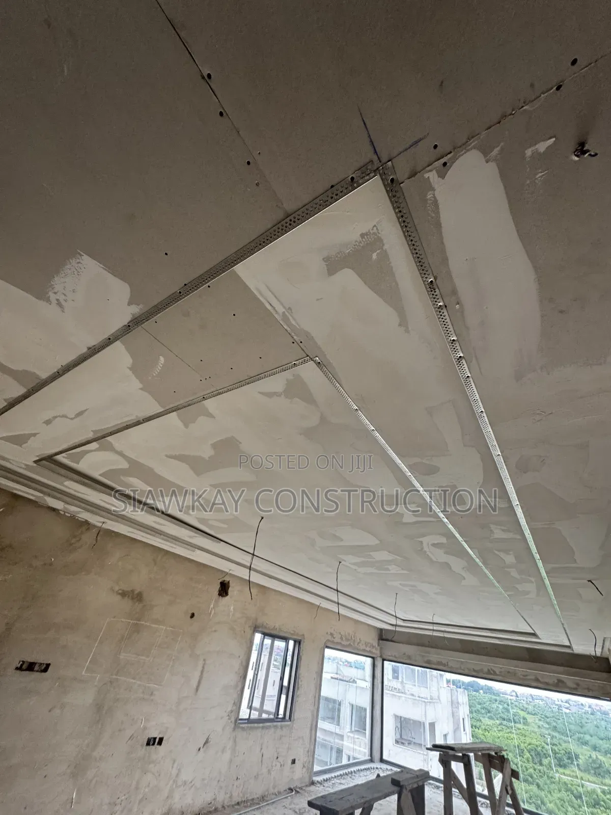 Professional Ceiling Managers
