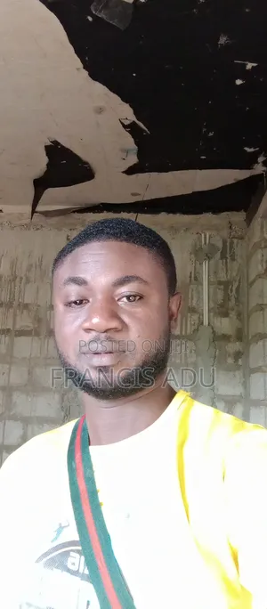 Mr.Adu Francis