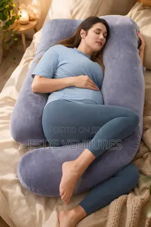 Pregnant Pillow