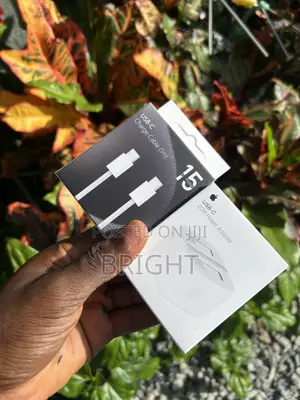 Apple iPhone Chargers