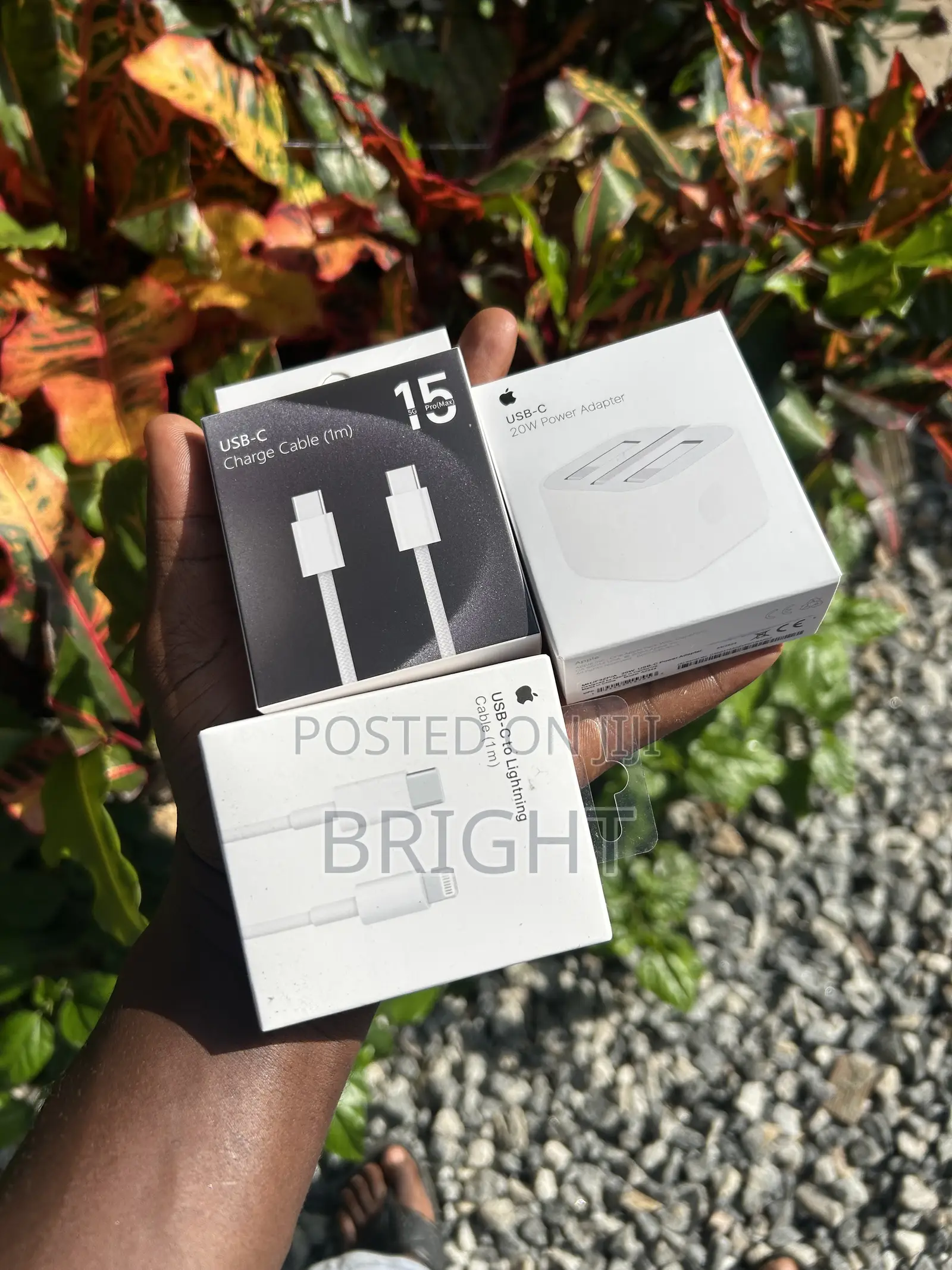 Apple iPhone Chargers