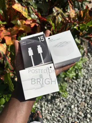 Apple iPhone Chargers