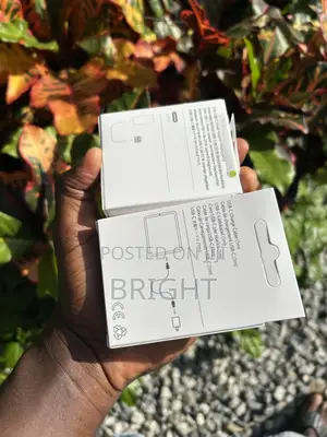 Apple iPhone Chargers