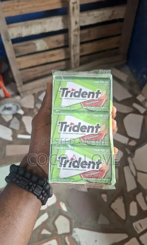 Trident Watermelon Sugar Free Chewing Gum