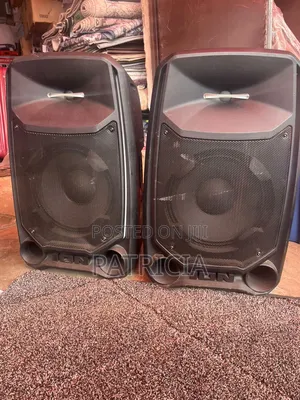 Ion Professional 15-Inch Pa Speakers (Pair)