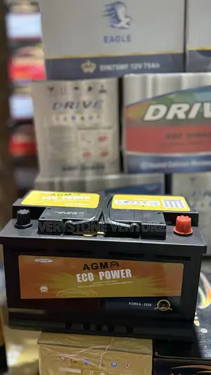 Eco Power Car Battery Agm Battery