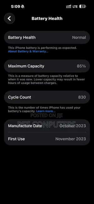 Apple iPhone 15 Pro Max 256 GB Gray