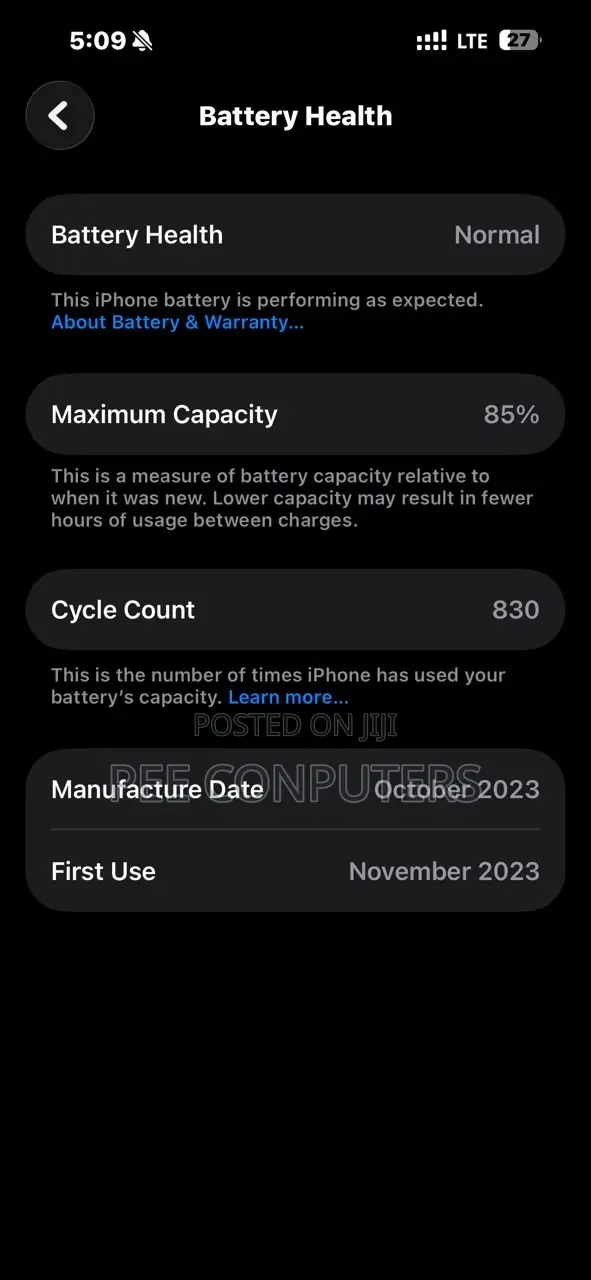 Apple iPhone 15 Pro Max 256 GB Gray