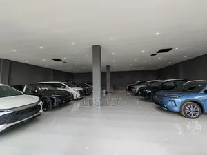 Car Sales + Live Streaming