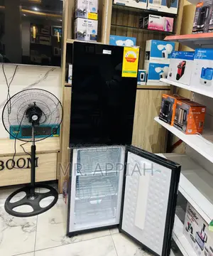 Classic Nasco 196l Nasd2-24 2 Door Electric Refrigerator(Mirror)Black.