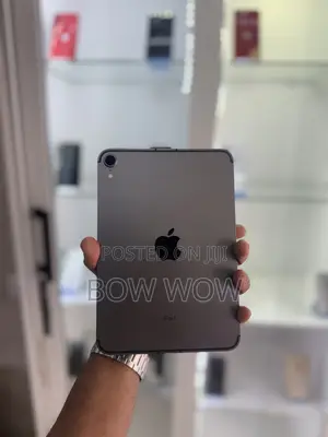 Apple iPad mini 6 64 GB Gray
