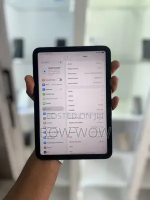 Apple iPad mini 6 64 GB Gray
