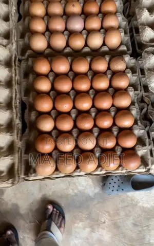 Fresh Farm Eggs