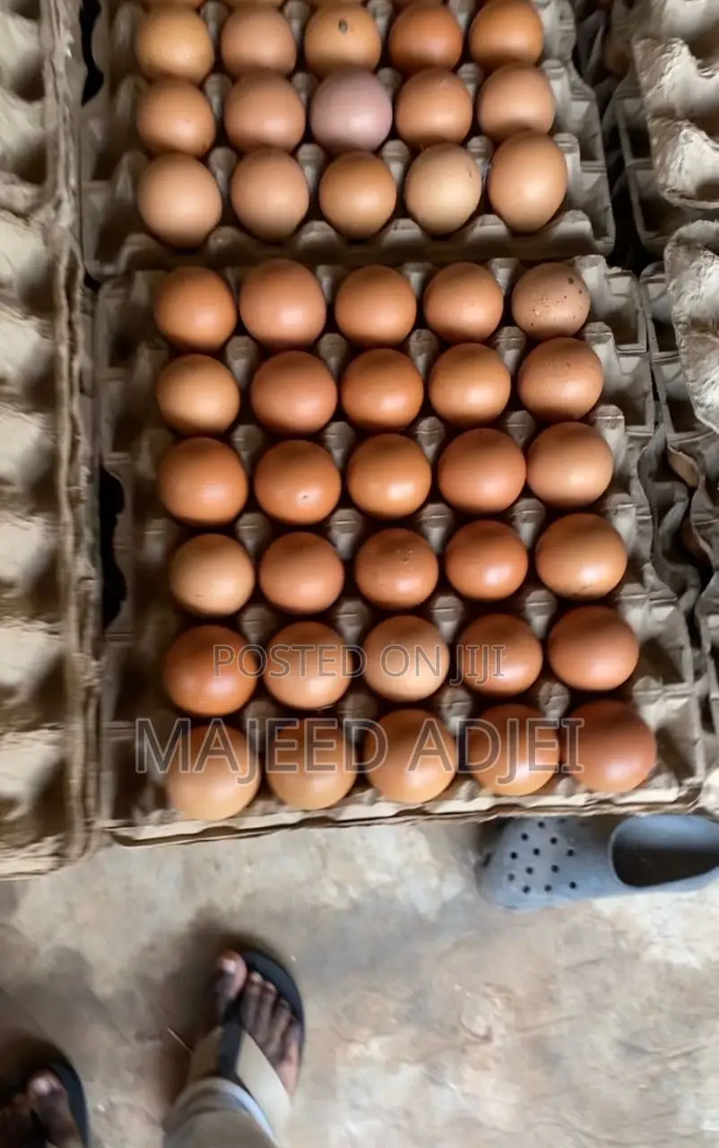 Fresh Farm Eggs
