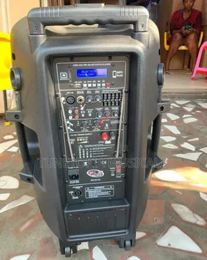 GLS Music Pc15-7a 15-Inch Rechargeable Portable Pa Speaker.