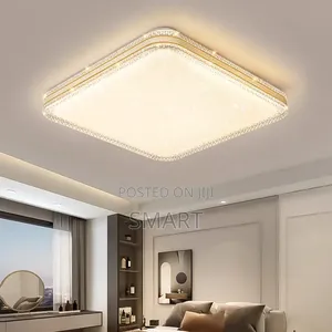Modern Luxury Led Ceiling Light.