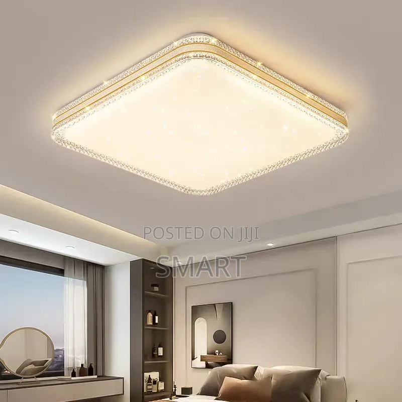 Modern Luxury Led Ceiling Light.