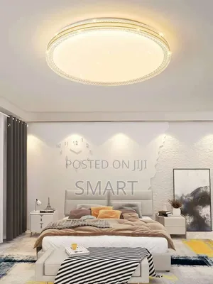 Luxury Decorative Led Ceiling Light