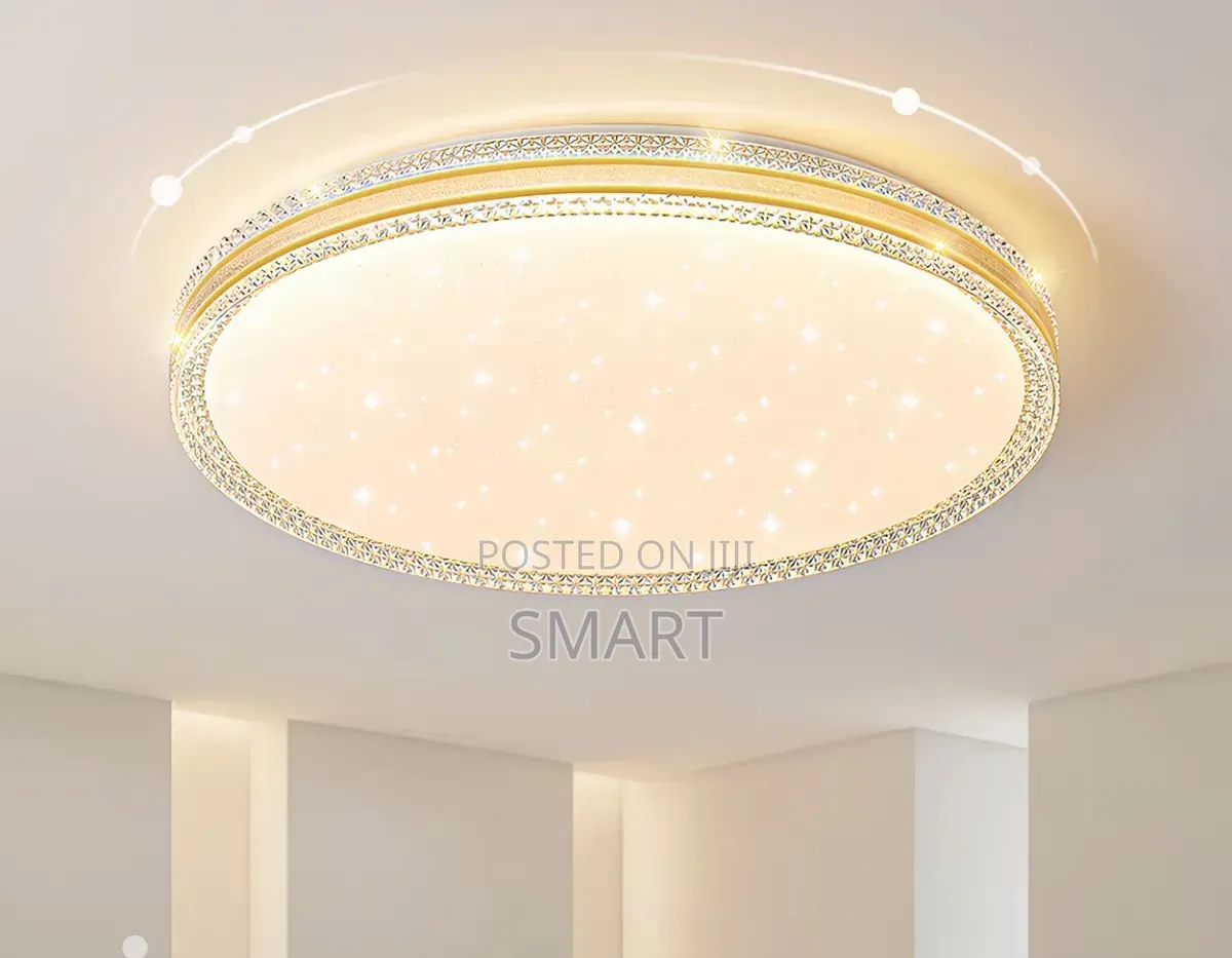 Luxury Decorative Led Ceiling Light