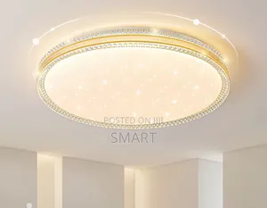 Luxury Decorative Led Ceiling Light