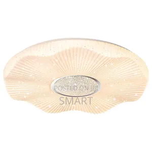 Modern Simple Led Surface Ceiling Light