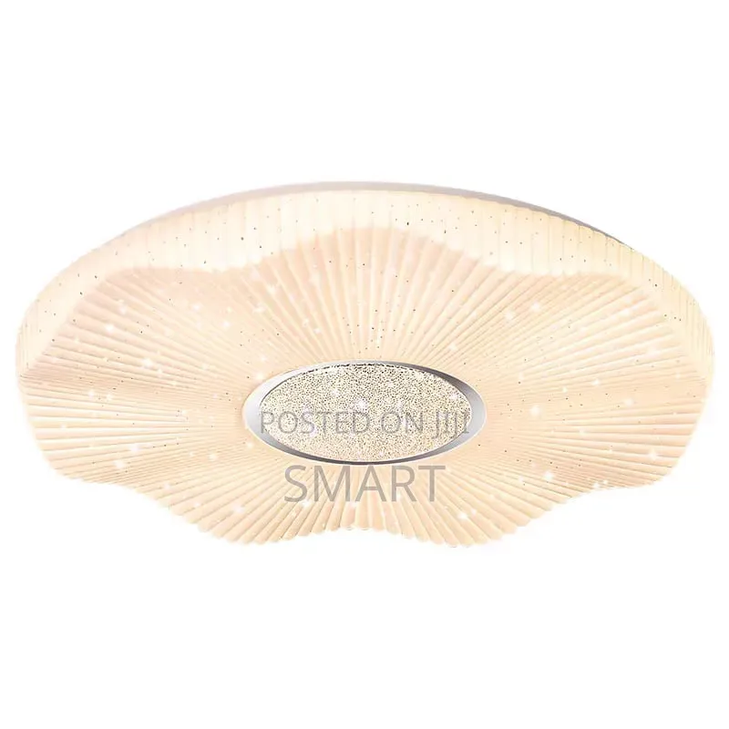 Modern Simple Led Surface Ceiling Light