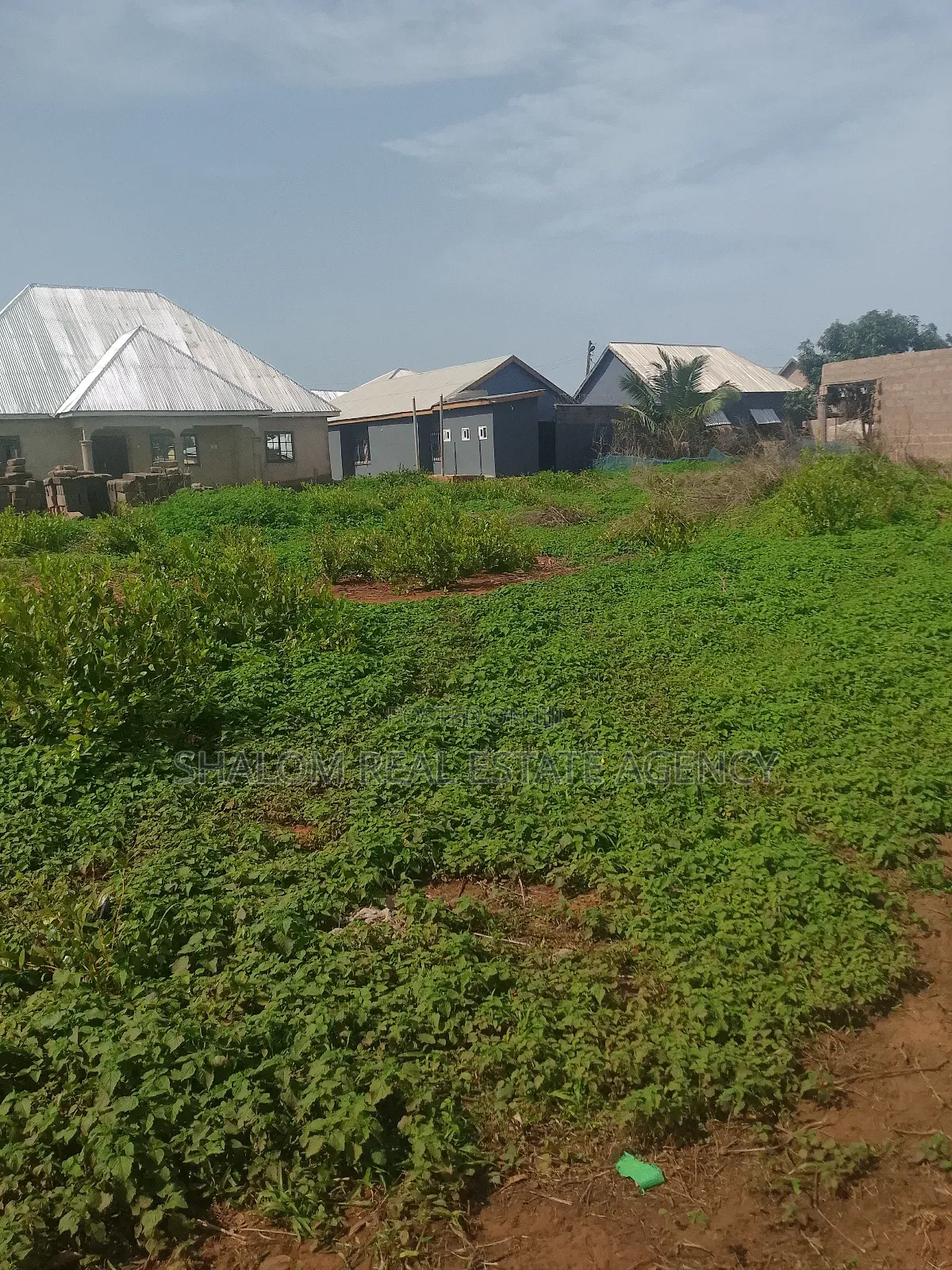 A Nice Plot of Land at Dimale for Sale