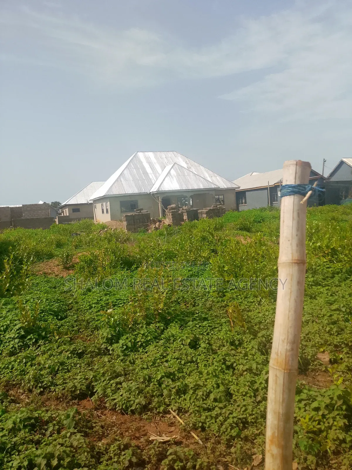 A Nice Plot of Land at Dimale for Sale