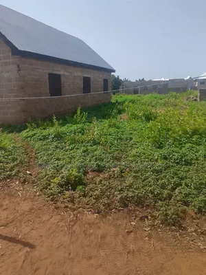 A Nice Plot of Land at Dimale for Sale