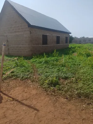 A Nice Plot of Land at Dimale for Sale