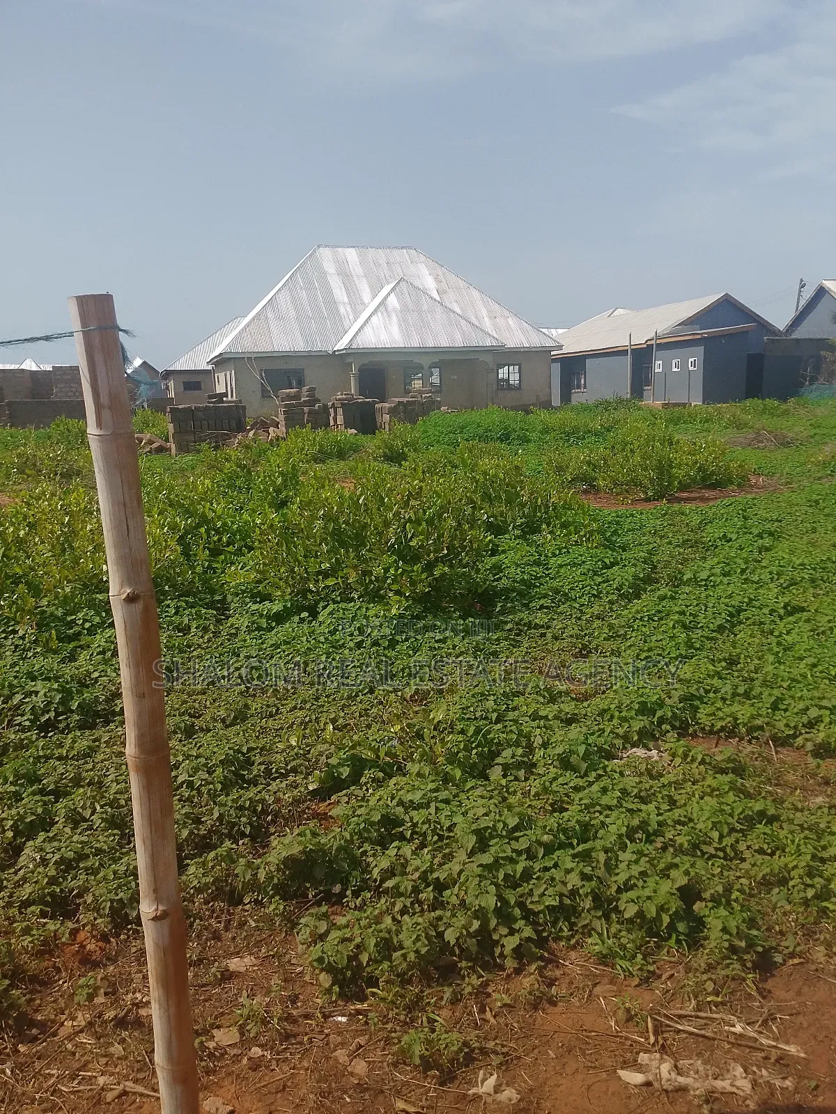 A Nice Plot of Land at Dimale for Sale