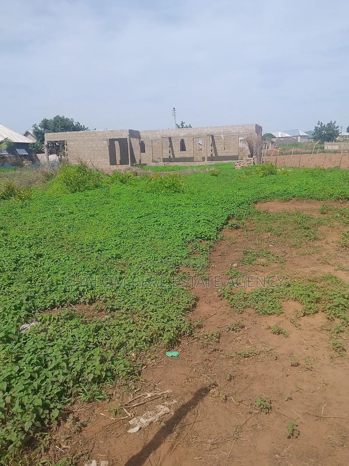 A Nice Plot of Land at Dimale for Sale