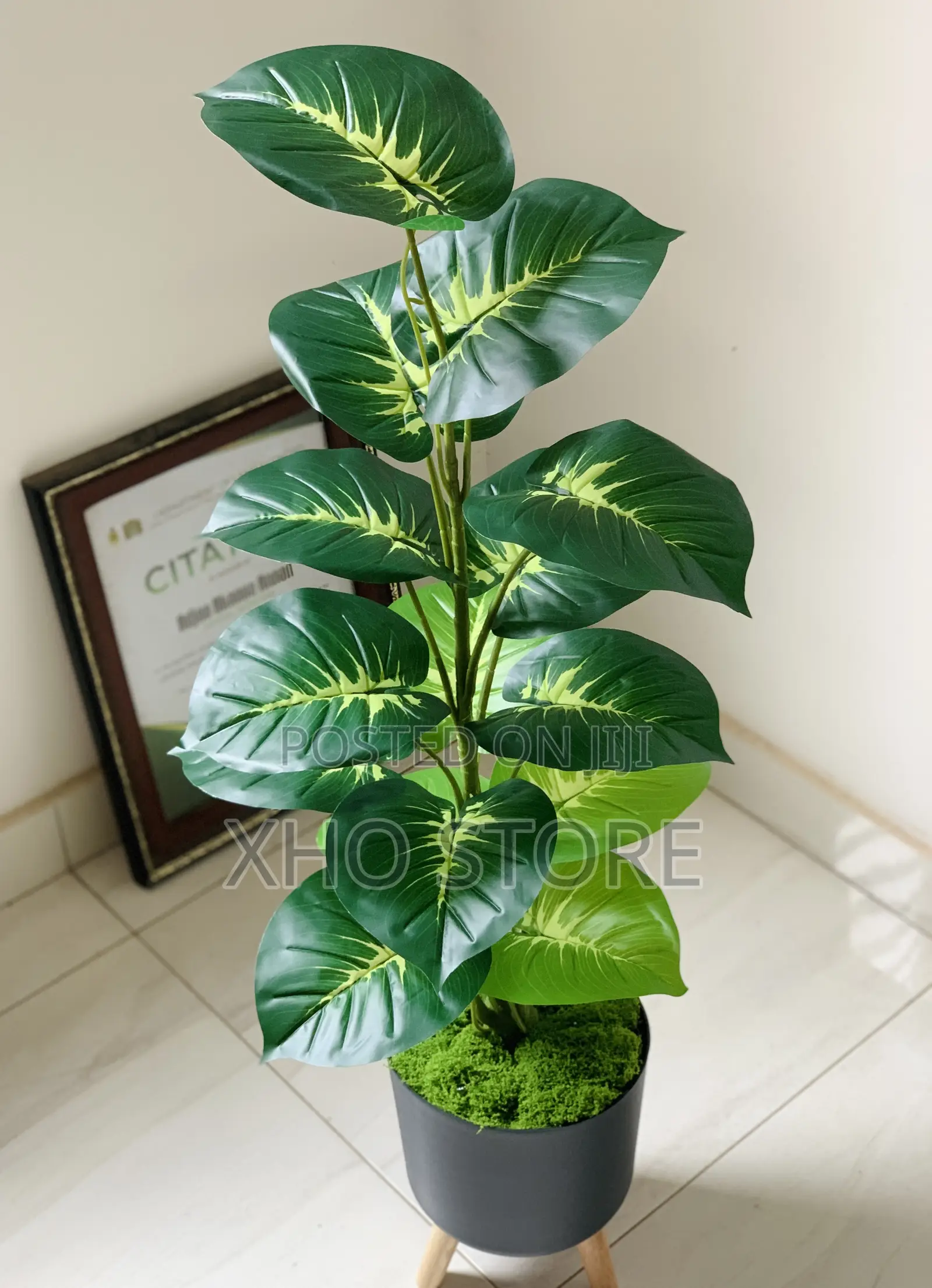 Artificial Plant Areca Palm, Dumb Cane, Fiddle Leaf, Potted Plants