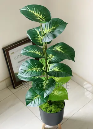 Artificial Plant Areca Palm, Dumb Cane, Fiddle Leaf, Potted Plants