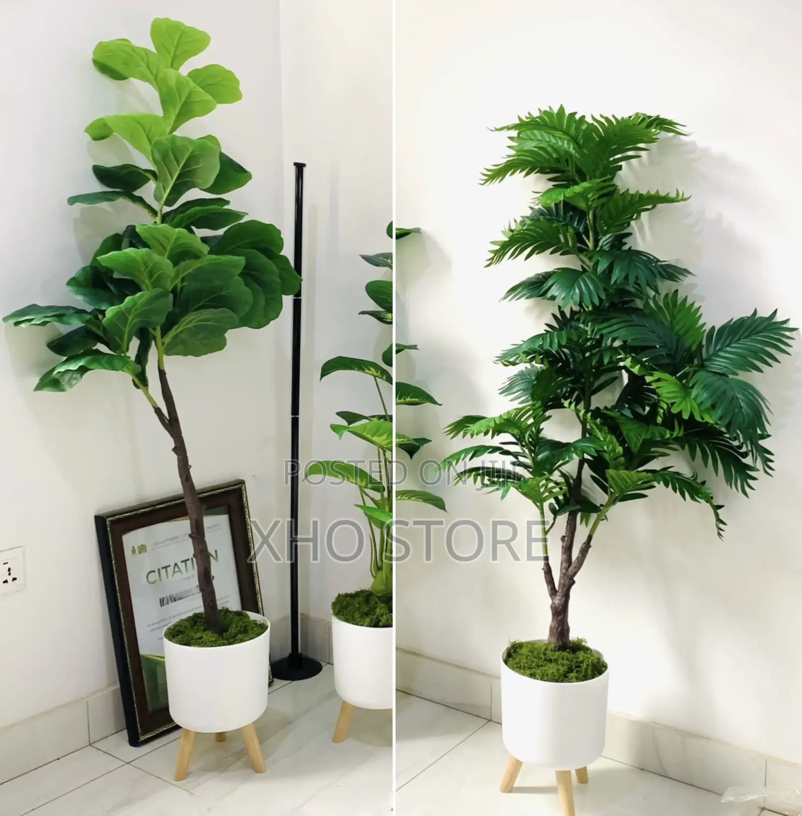 Artificial Plant Areca Palm, Dumb Cane, Fiddle Leaf, Potted Plants