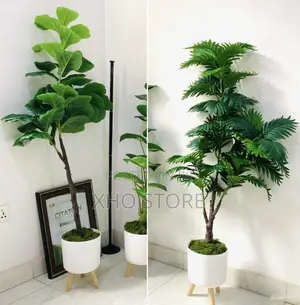 Artificial Plant Areca Palm, Dumb Cane, Fiddle Leaf, Potted Plants