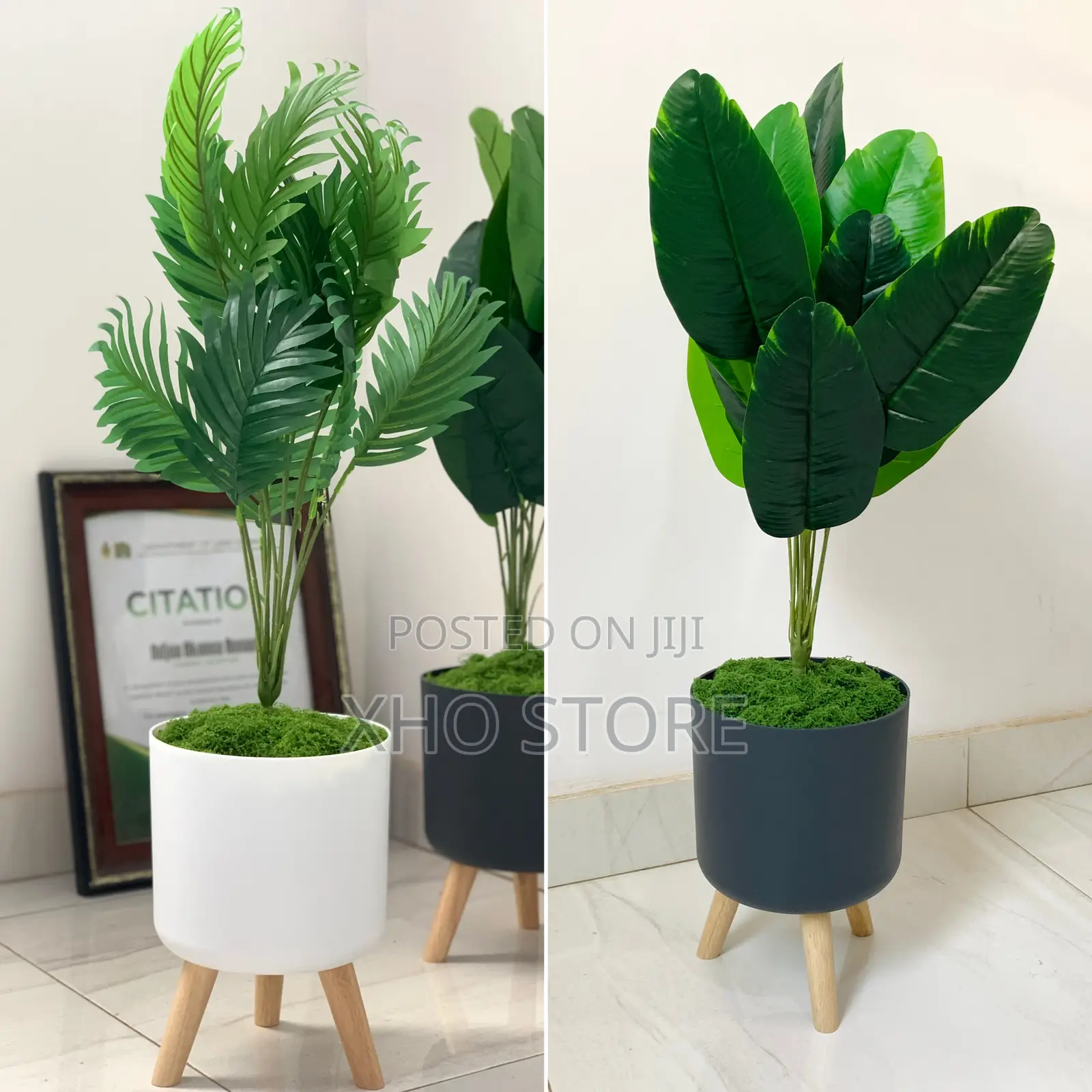 Artificial Plant Areca Palm, Dumb Cane, Fiddle Leaf, Potted Plants