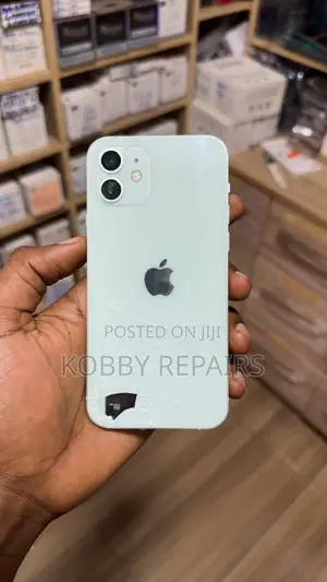 Back Glass Replacement