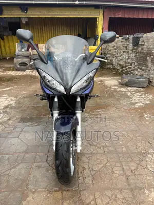 Yamaha FZ 2007 Blue