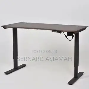 Adjustable Electric Gaming And Office Desk Desk