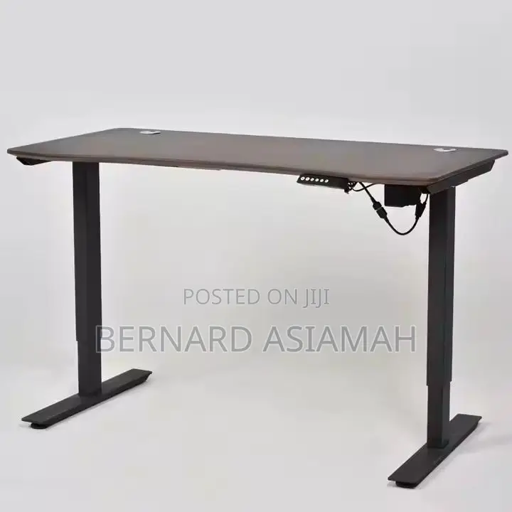 Adjustable Electric Gaming And Office Desk Desk