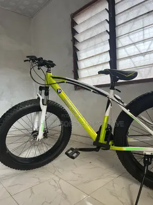 Fat Tyre BMW