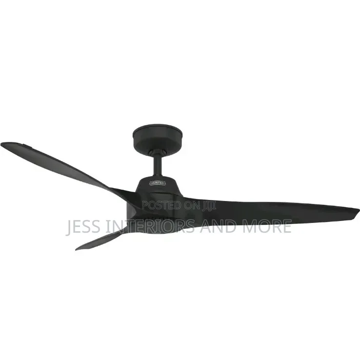 Hunter 52 Inch Outdoor or Indoor Ceiling Fan(Canberra)
