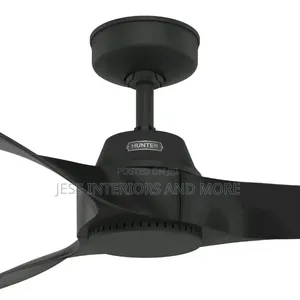 Hunter 52 Inch Outdoor or Indoor Ceiling Fan(Canberra)