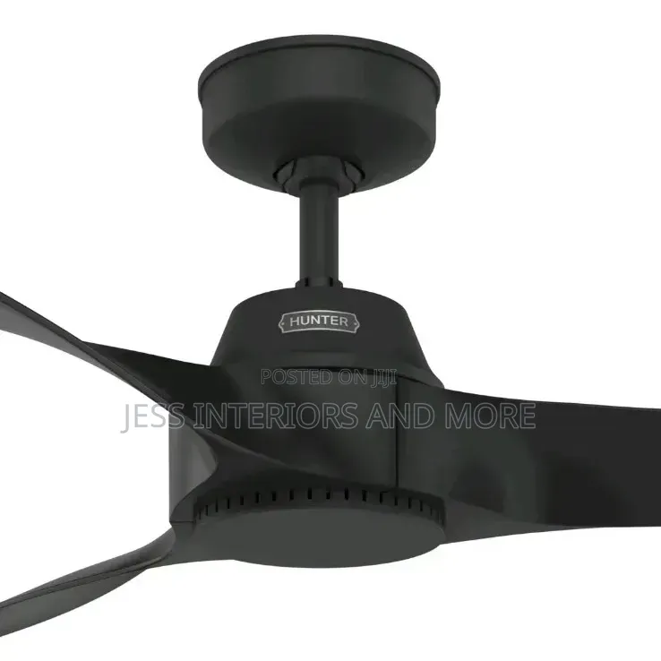 Hunter 52 Inch Outdoor or Indoor Ceiling Fan(Canberra)